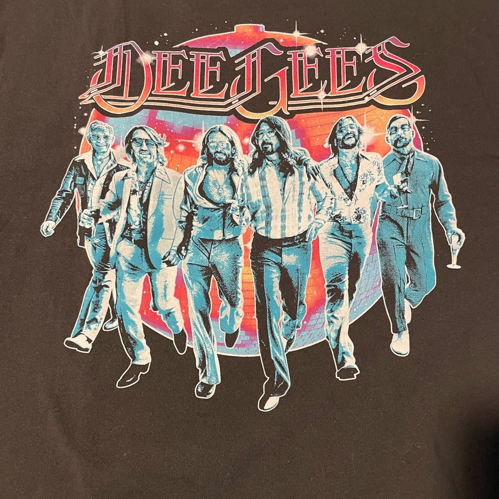 Foo fighters Dee Gees Disco T-shirt, XL